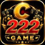c222 game